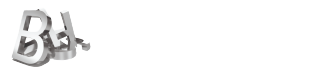 부일티에스